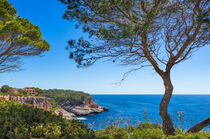 Mallorca, view of mediterranean sea island scenery, beautiful coast of Santanyi, Spain Balearic Islands von Alex Winter