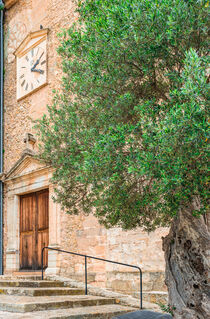 Idyllic view of old olive tree in mediterranean village von Alex Winter