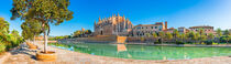 Panorama view of Cathedral La Seu at the historic city center of Palma de Mallorca by Alex Winter