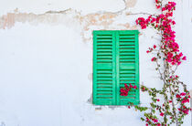 Old white house wall background with closed green window shutters, bougainville of mediterranean house von Alex Winter