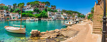 Majorca, panorama view of traditional fisher town harbour with boats at waterfront, Spain, Mediterranean Sea by Alex Winter