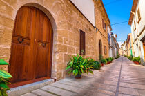 Majorca, street with potted plants in Alcudia old town, Spain von Alex Winter