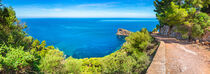 Mallorca island, beautiful natural seaside panorama von Alex Winter