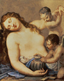 Penitent Mary Magdalene with putti  by Pietro Liberi