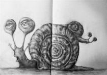 Snail novel by sabo