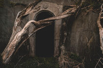 Der mystische Eingang by mindscapephotos