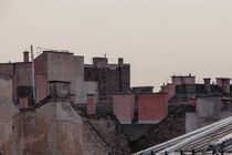 Roofs of Budapest by Peter Sesler