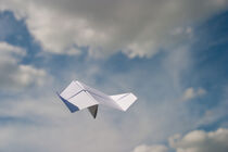 Paperplane von Peter Sesler