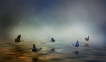 background with butterflies in the fog. 