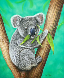 Bob - The Koala by Isabel Conradi