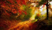 Herbstlandschaft. Waldweg durch den Wald mit buntem Herbstlaub. Gemalt. by havelmomente