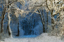 Winterlandschaft, Schnee im Wald. Waldweg. Gemalt. von havelmomente