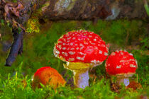 Rote Fliegenpilze im Wald. Gemalt. by havelmomente