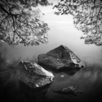 Two rocks and two trees by Kostas Pavlis