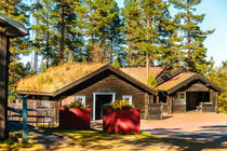 Grasbewachsene Holzhütten in Schweden