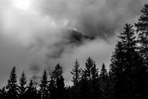 Die Karawanken verstecken sich hinter den Wolken von Stephan Zaun