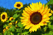 Sonnenblumenfeld. Feld mit Sonnenblumen im Sommer. Gemalt. von havelmomente