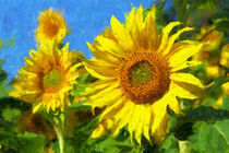 Sonnenblumenfeld. Feld mit Sonnenblumen im Sommer. Gemalt. by havelmomente