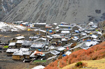 Das Himalayadorf Samdo in der Manaslu-Region by Ulrich Senff