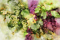 Aquarell Weinrebe mit reifen Weintrauben. Gemalt. von havelmomente
