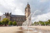 Wasserspiele auf dem Domplatz in Magdeburg