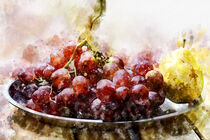 Weintrauben auf Obstteller. Aquarell. by havelmomente
