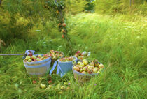 Picking Pears von George Robinson