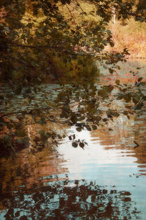 Leaf Reflections by CHRISTINE LAKE