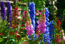 Blumenbeet mit Fingerhut und Ritterspron im Sommer. Gemalt. von havelmomente