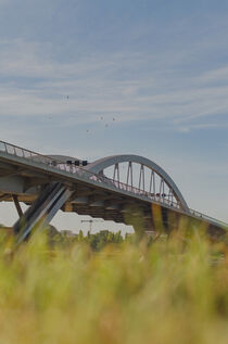 Waldschlößchenbrücke in Dresden von ddsehen
