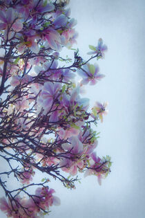 'Waiting For Spring' von CHRISTINE LAKE