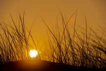 Sonnenaufgang hinter einer Düne by Stephan Zaun