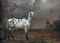The Piebald Horse von Paulus Potter