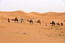 Wüstenflair in der Sahara von Marokko von Ulrich Senff