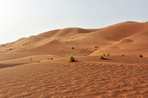 Beeindruckende Dünenlandschaft im Erg Chebbi in Marokkos Süden von Ulrich Senff
