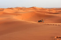 Abends in Marokkos größter Dünenregion, dem Erg Chebbi von Ulrich Senff