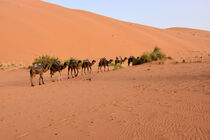 Unterwegs in Marokkos größtem Dünengebiet Erg Chebbi von Ulrich Senff