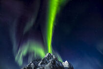 Lady Aurora. Isnt she à beauty? by Stein Liland