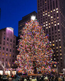 Rockefeller Center Christmas Tree, New York by David Halperin