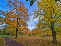 Herbst im Herrenkrugpark in MAgdeburg von magdeburgerin