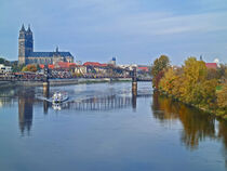 Blick auf den Dom und die Elbe im Herbst in Magdeburg von magdeburgerin