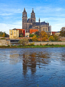 Blick auf den MAagdeburger Dom am der Elbe im Herbst von magdeburgerin