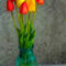 Tulips-6312574-1280
