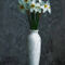 Daffodils-6293452-1920