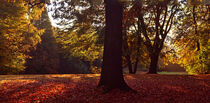 Herbstpanorama von Edgar Schermaul