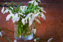 Schneeglöckchen in einer Blumenvase. Gemalt. Frühlingsstrauß. by havelmomente