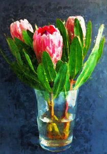 Strauß Protea in einer Glasvase. Gemalt. Kaprosen by havelmomente