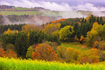 Herbst im Hotzenwald by Patrick Lohmüller
