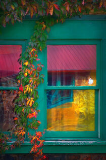Green Window Panes by William Schmid