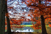 Herbstfarben im Schloss Favorite von Iryna Mathes